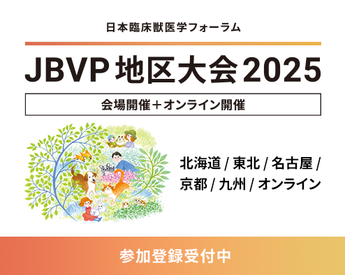 地区大会2024